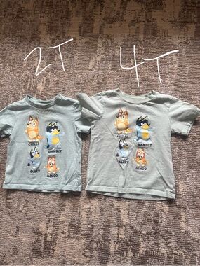 Kids Blue Green Graphic Tee - Bluey